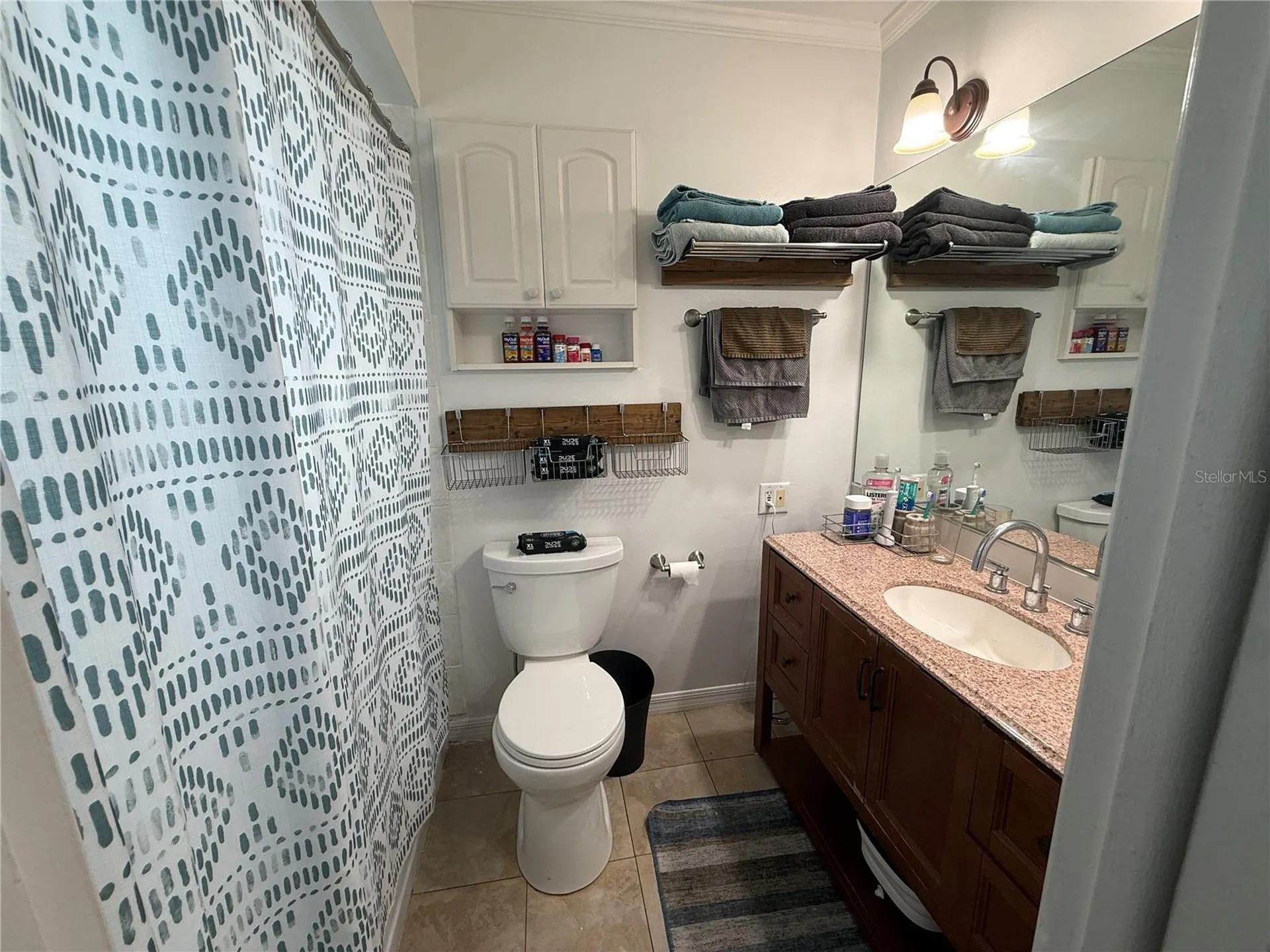 10009 Regal Woods Lane Tampa FL 33624
