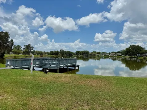 10009 Regal Woods Lane Tampa FL 33624