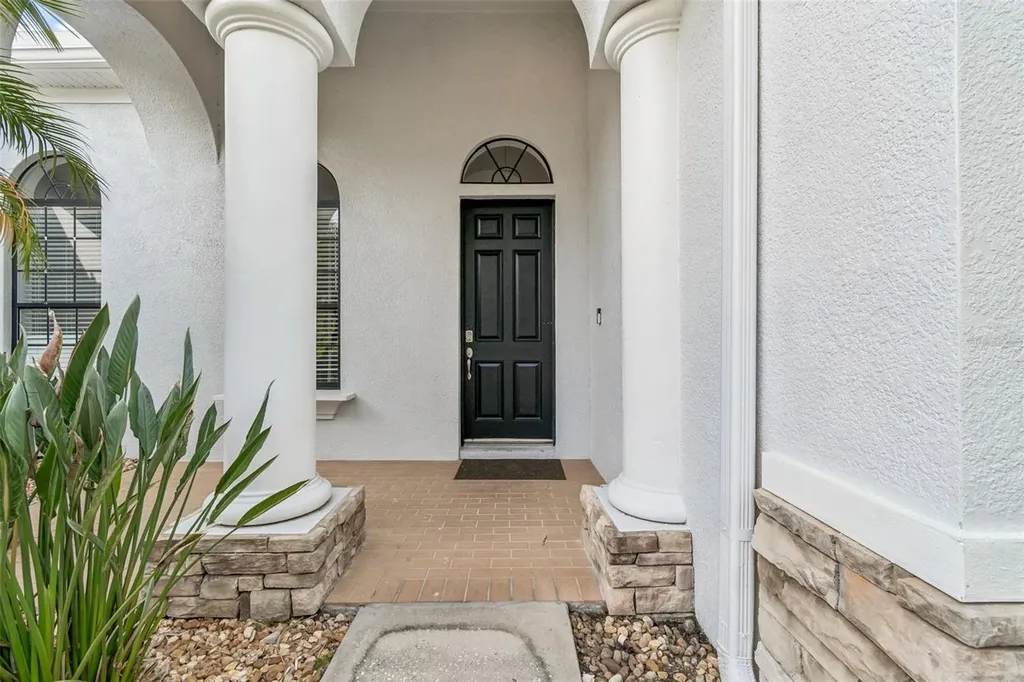 19236 Climbing Aster Drive Tampa FL 33647