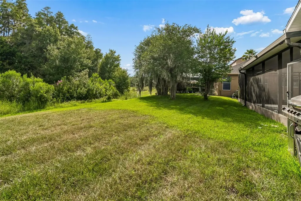 19236 Climbing Aster Drive Tampa FL 33647