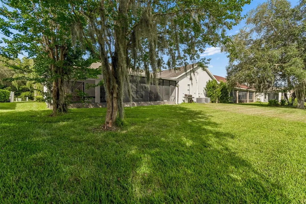 19236 Climbing Aster Drive Tampa FL 33647