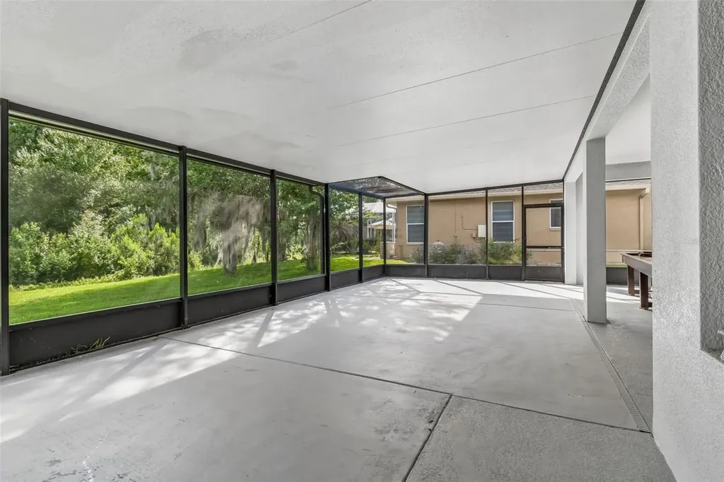 19236 Climbing Aster Drive Tampa FL 33647