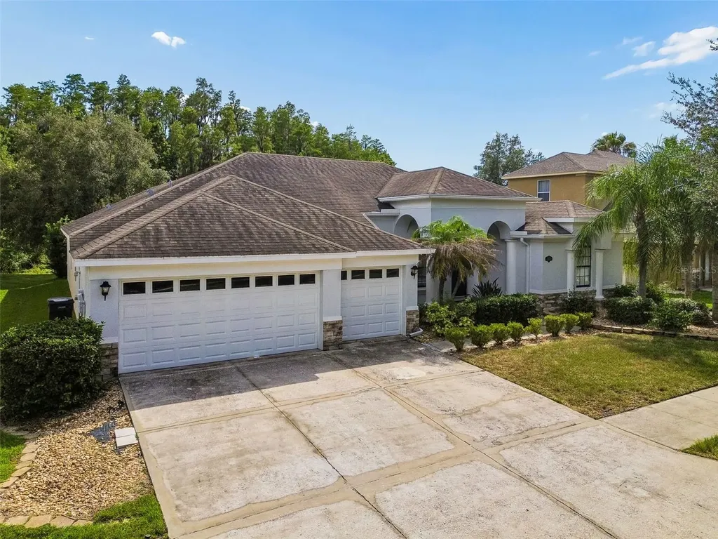19236 Climbing Aster Drive Tampa FL 33647