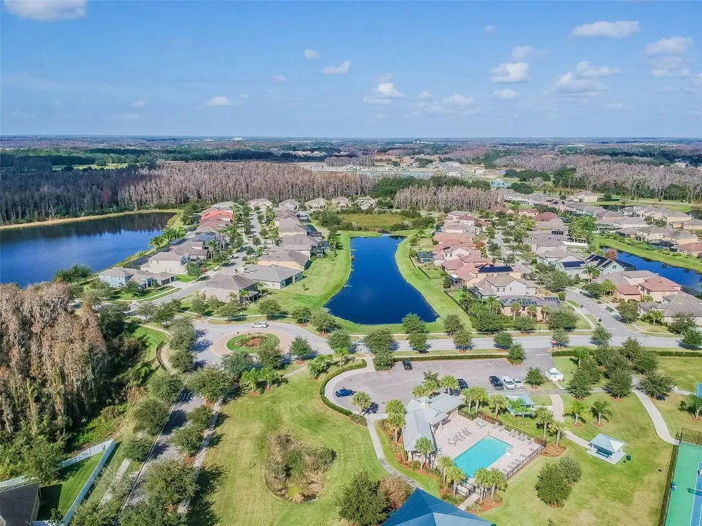 19236 Climbing Aster Drive Tampa FL 33647