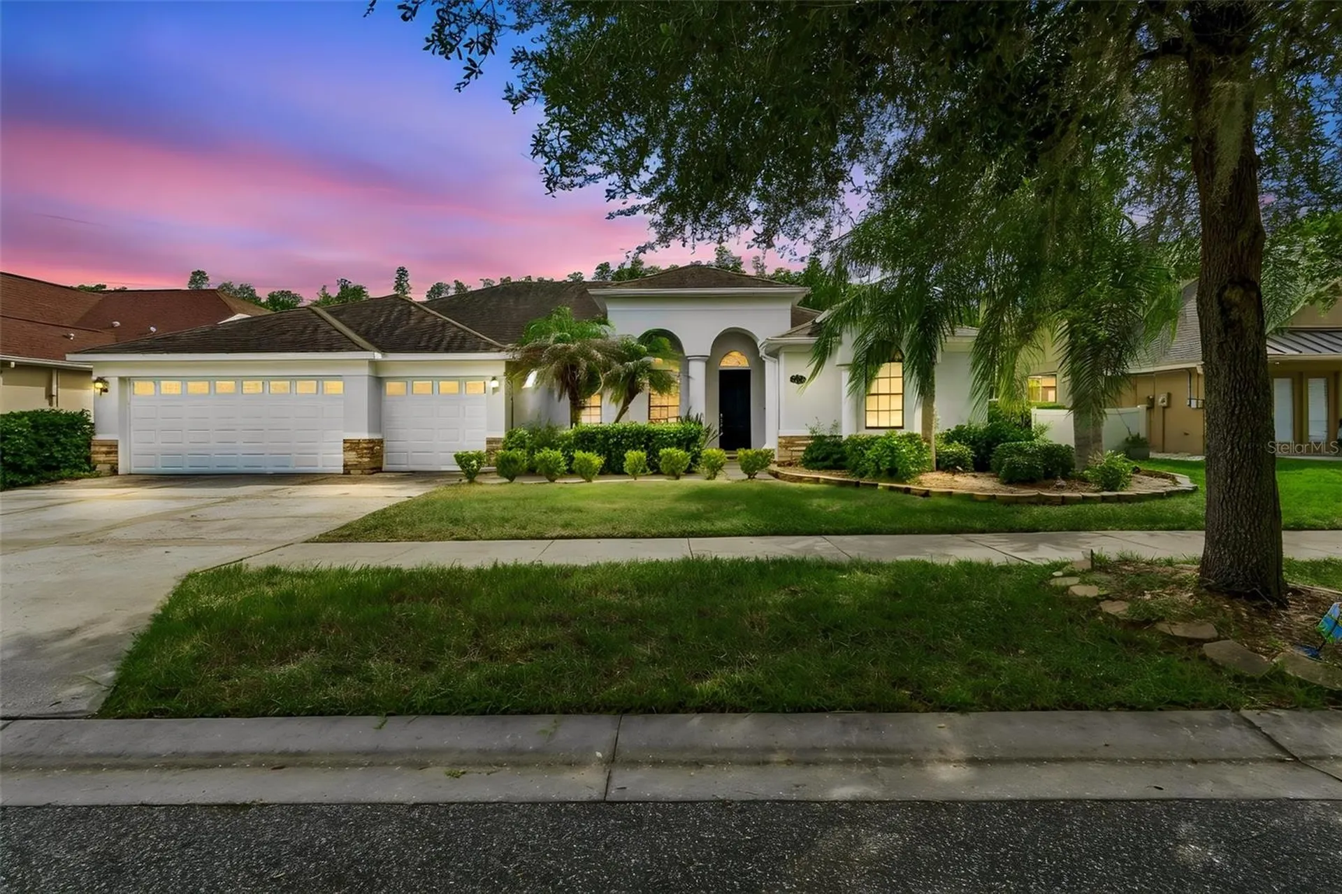 19236 Climbing Aster Drive Tampa FL 33647