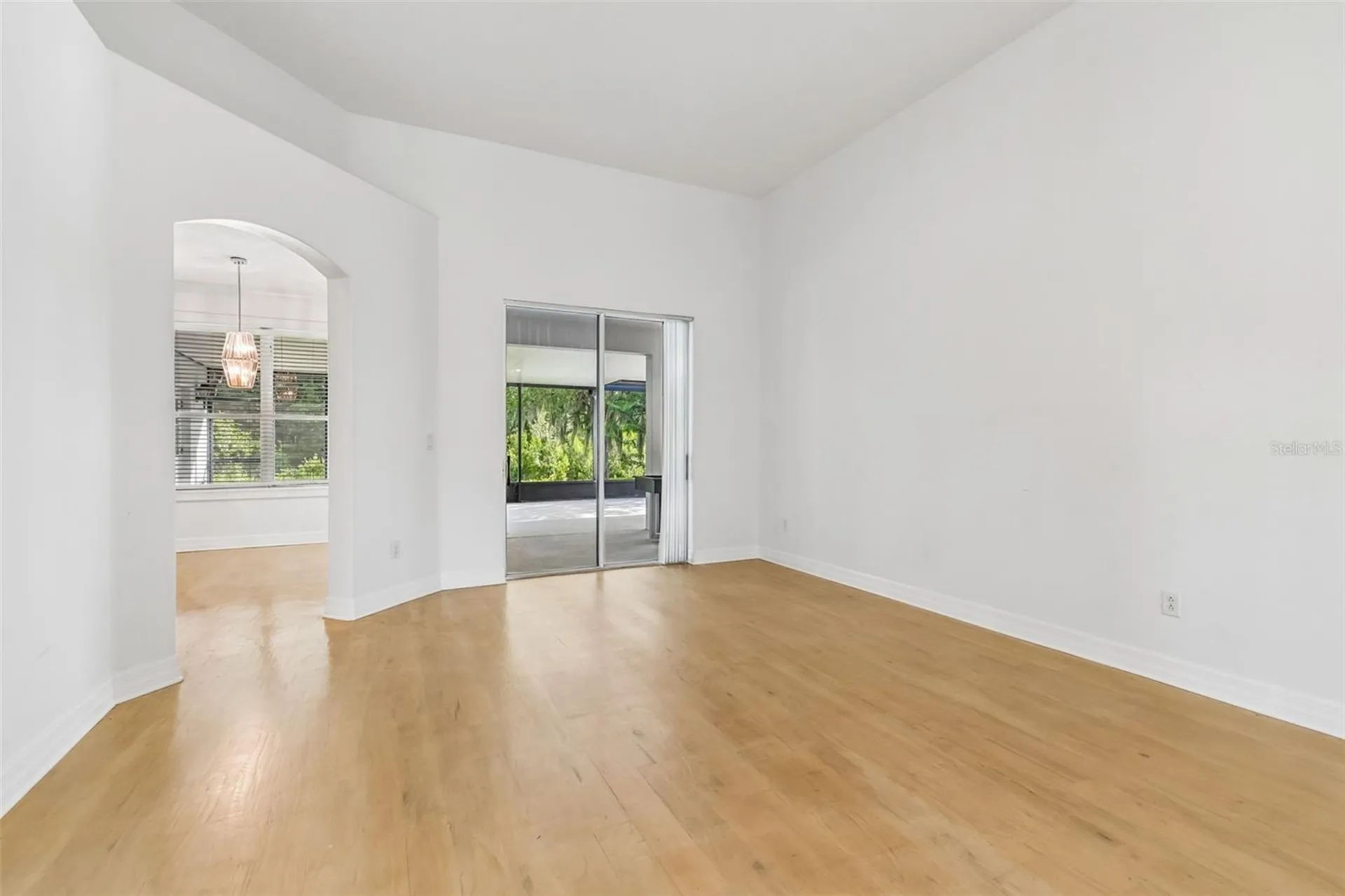 19236 Climbing Aster Drive Tampa FL 33647