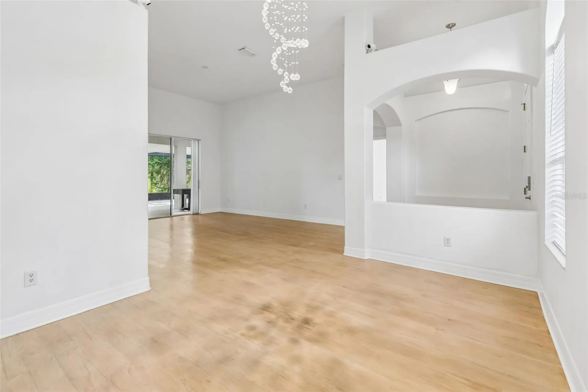 19236 Climbing Aster Drive Tampa FL 33647