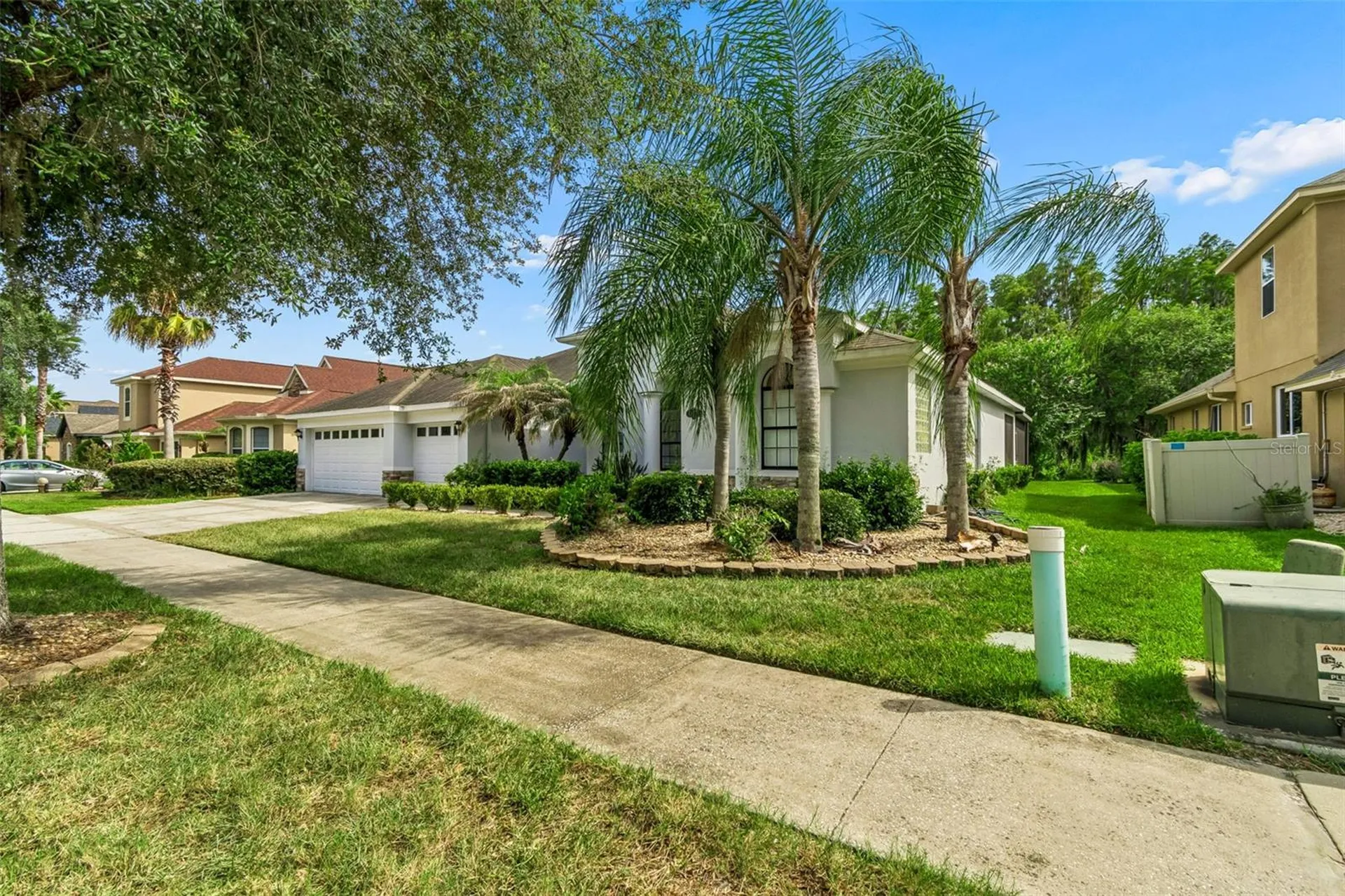 19236 Climbing Aster Drive Tampa FL 33647