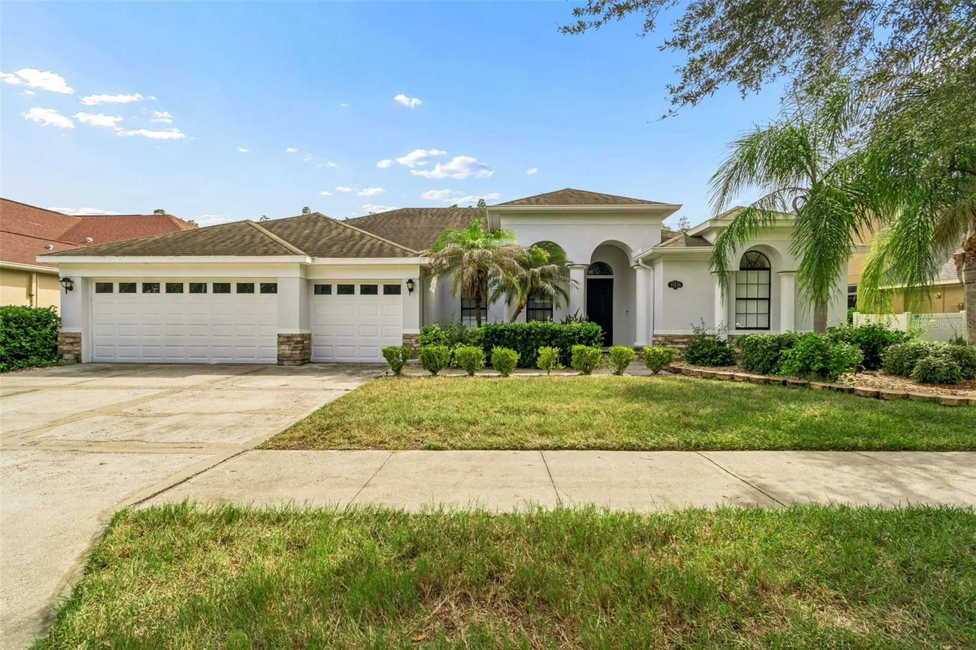 19236 Climbing Aster Drive Tampa FL 33647