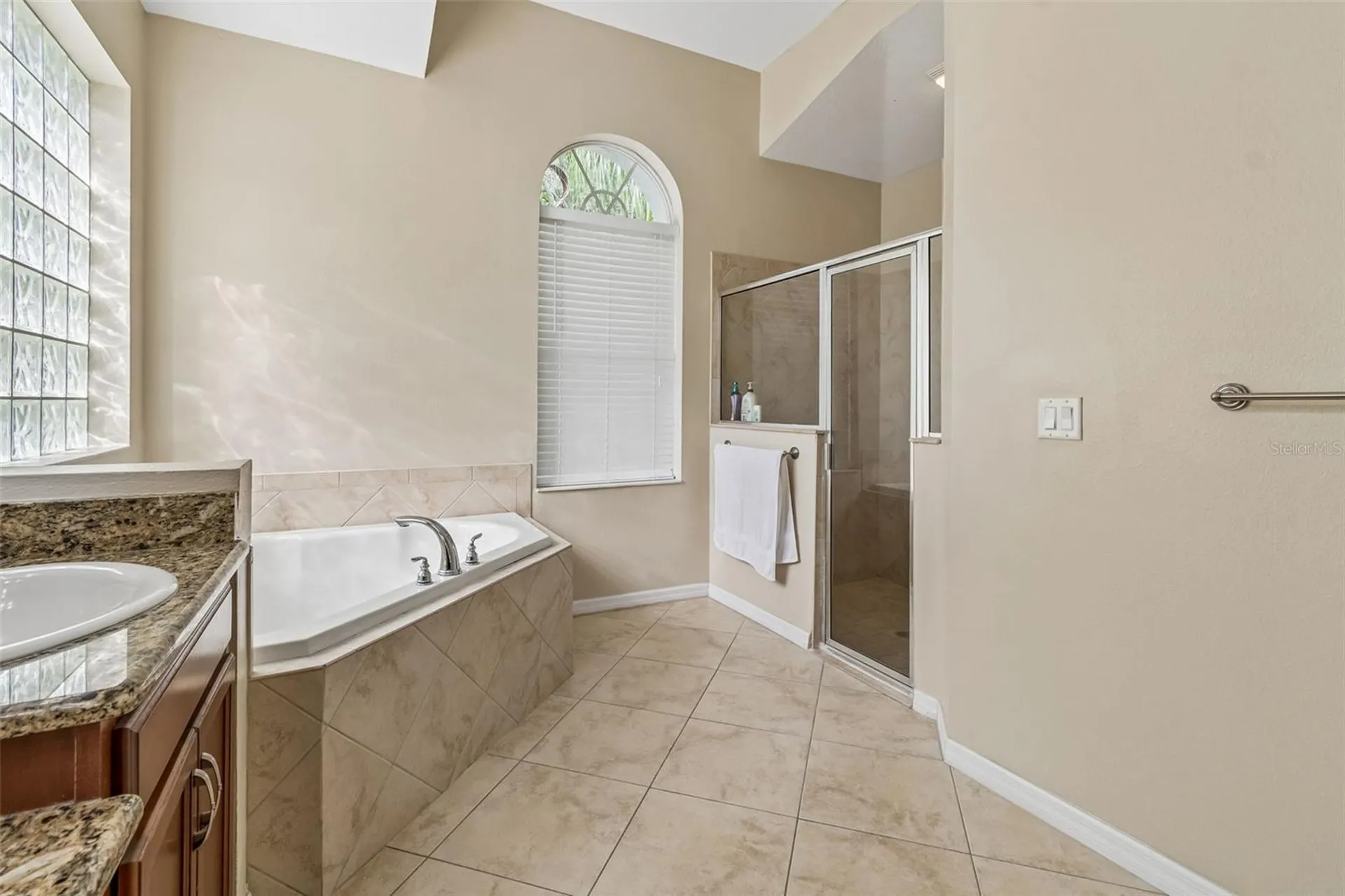 19236 Climbing Aster Drive Tampa FL 33647