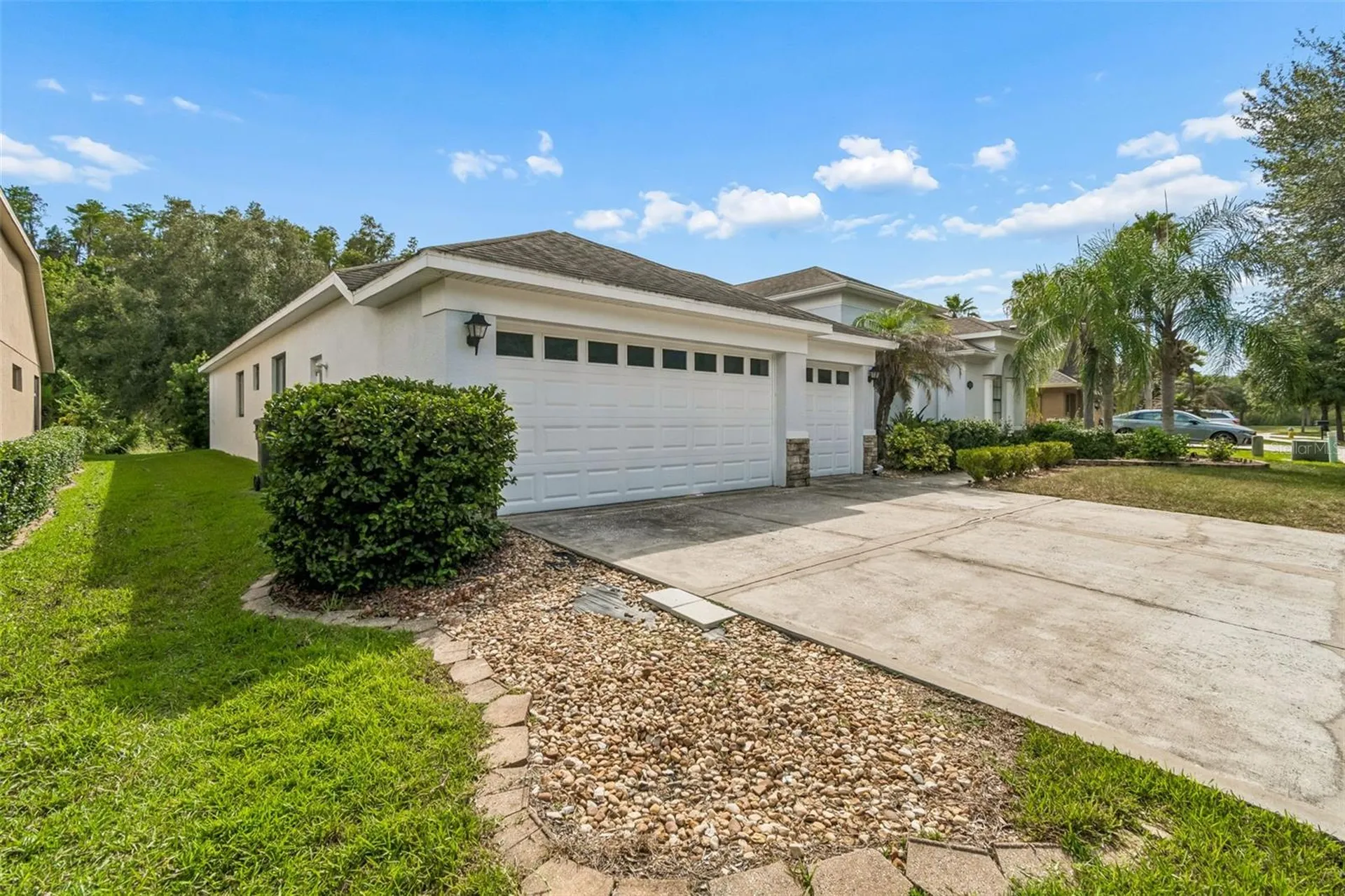 19236 Climbing Aster Drive Tampa FL 33647