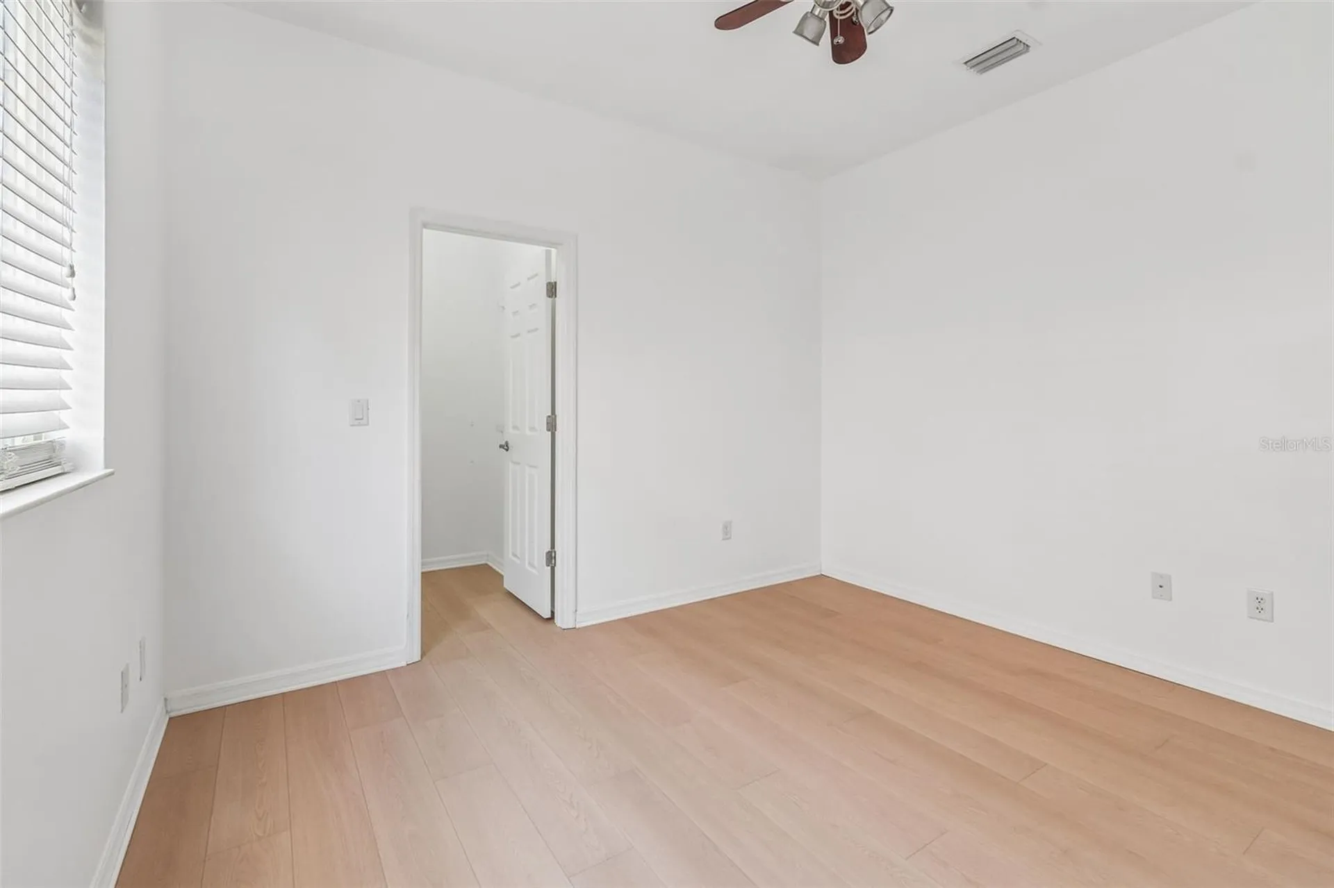 19236 Climbing Aster Drive Tampa FL 33647