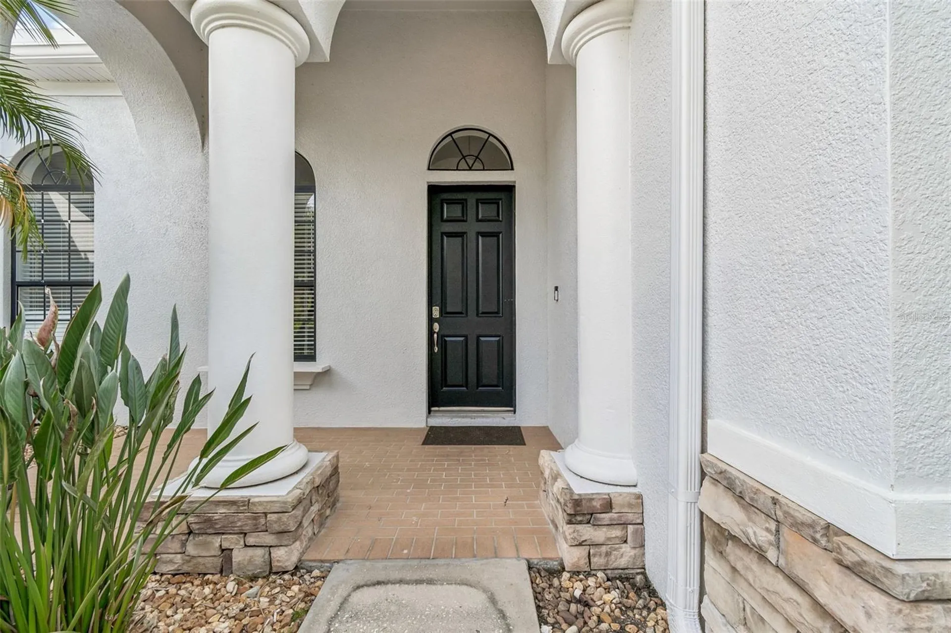 19236 Climbing Aster Drive Tampa FL 33647