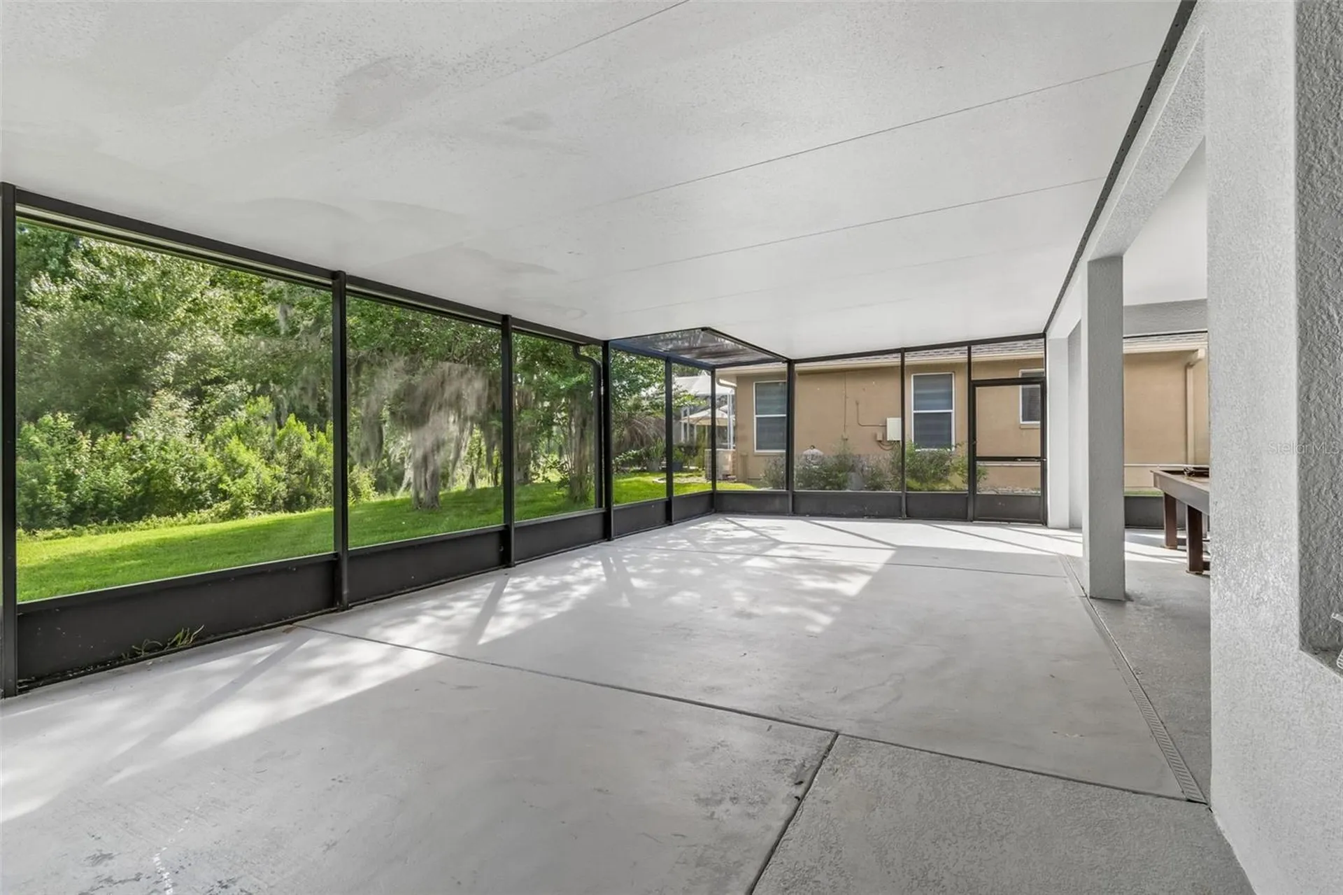 19236 Climbing Aster Drive Tampa FL 33647