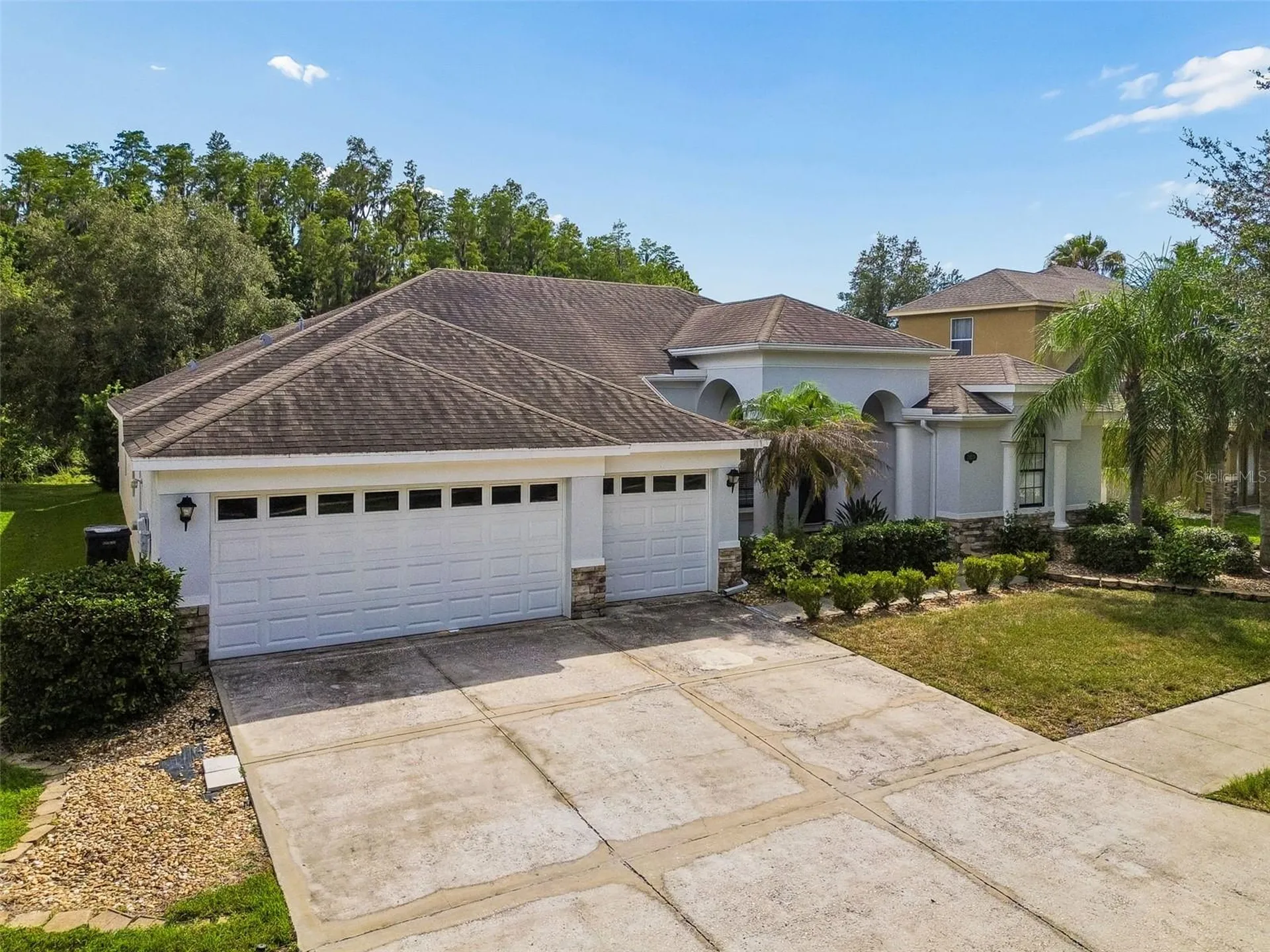 19236 Climbing Aster Drive Tampa FL 33647