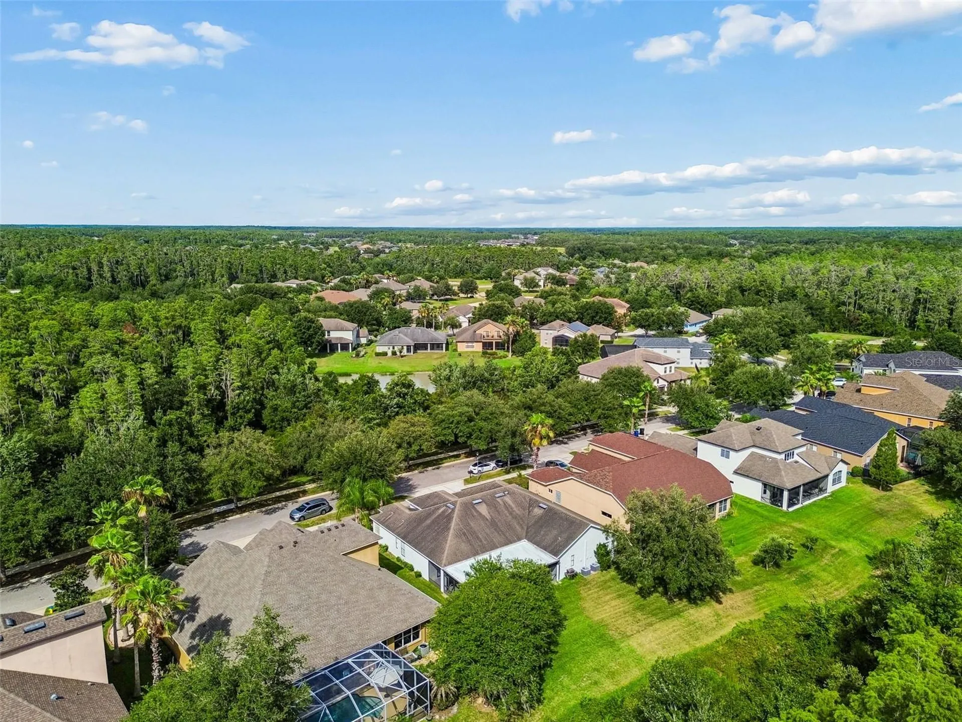 19236 Climbing Aster Drive Tampa FL 33647