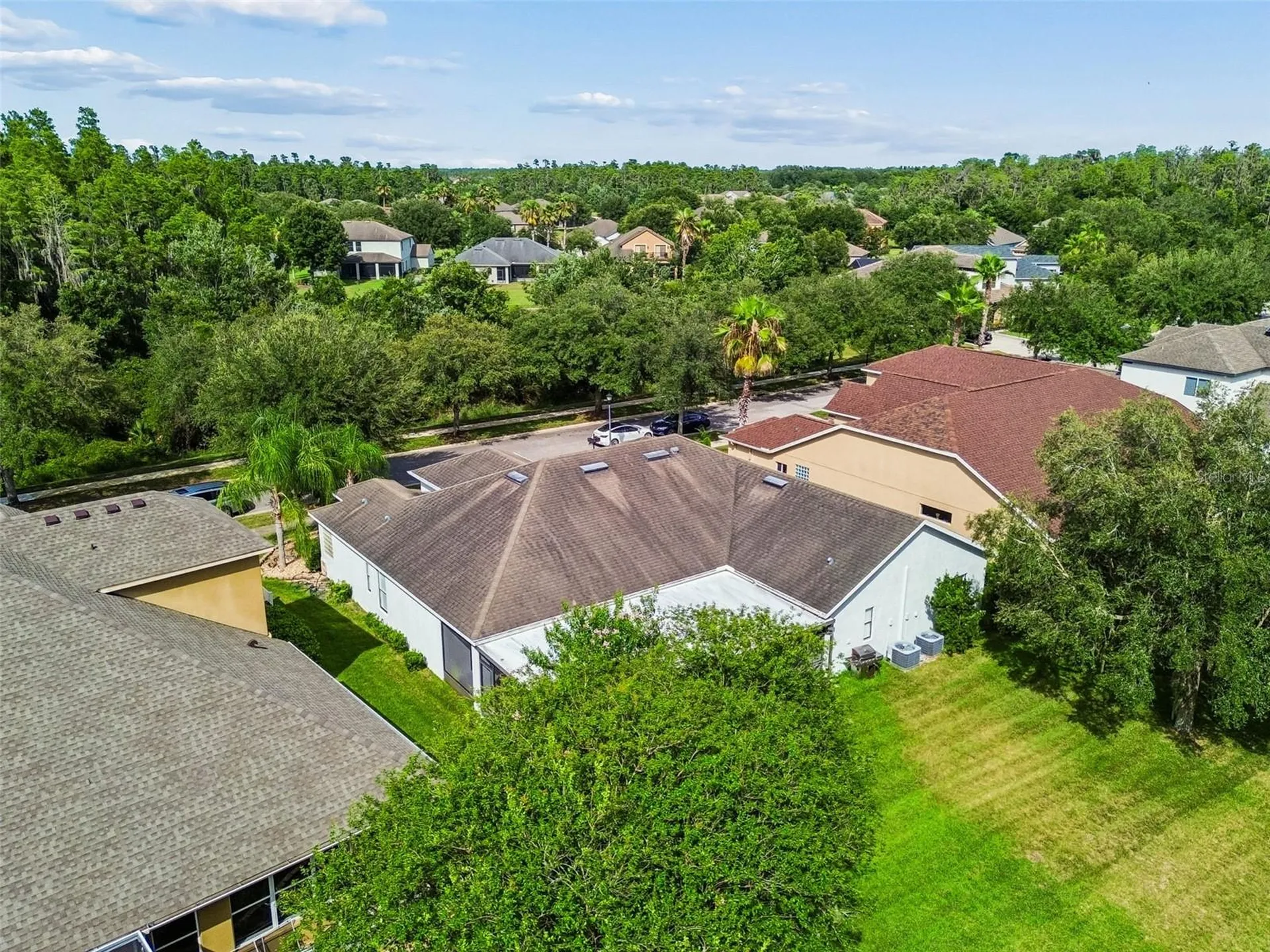 19236 Climbing Aster Drive Tampa FL 33647