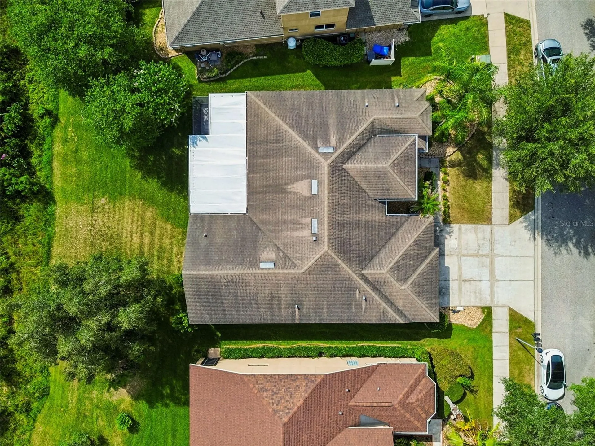 19236 Climbing Aster Drive Tampa FL 33647