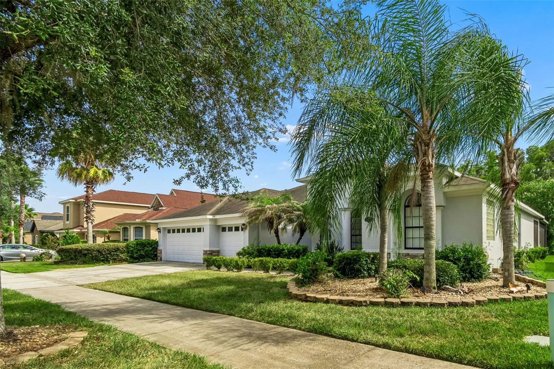 19236 Climbing Aster Drive Tampa FL 33647