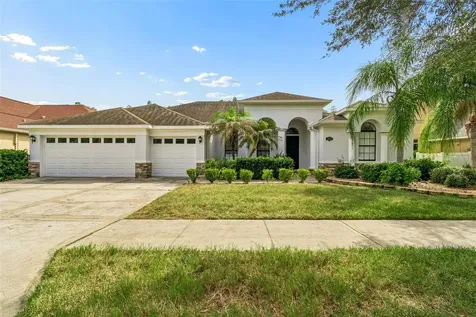 19236 Climbing Aster Drive Tampa FL 33647