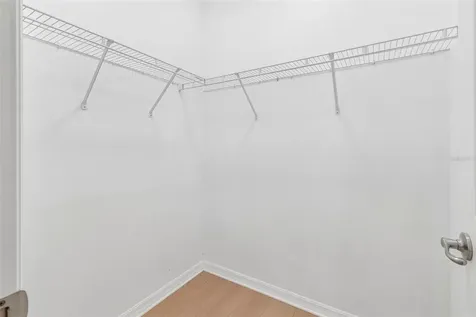 19236 Climbing Aster Drive Tampa FL 33647