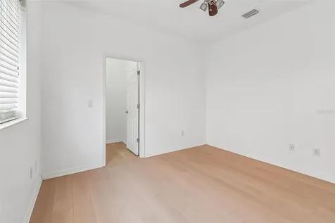 19236 Climbing Aster Drive Tampa FL 33647