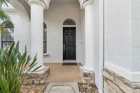 19236 Climbing Aster Drive Tampa FL 33647