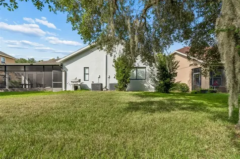 19236 Climbing Aster Drive Tampa FL 33647