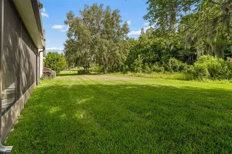 19236 Climbing Aster Drive Tampa FL 33647