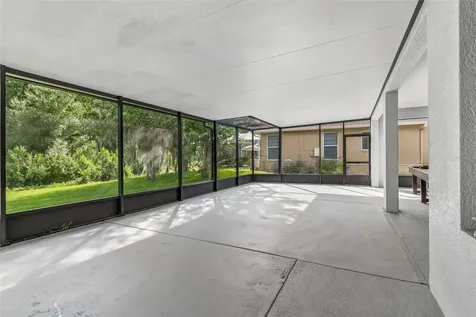 19236 Climbing Aster Drive Tampa FL 33647