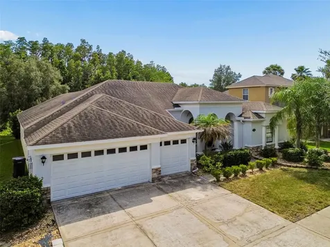 19236 Climbing Aster Drive Tampa FL 33647