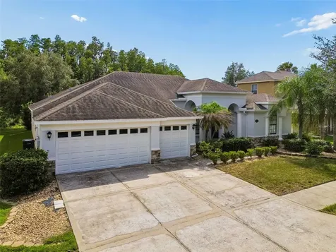 19236 Climbing Aster Drive Tampa FL 33647