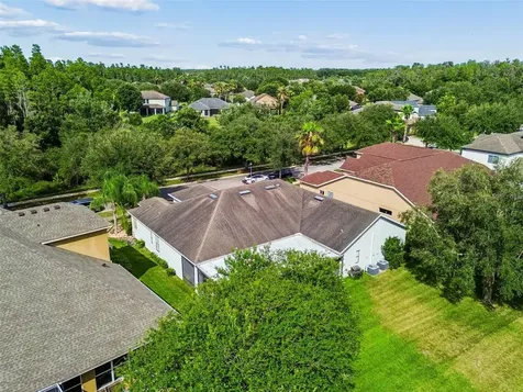 19236 Climbing Aster Drive Tampa FL 33647