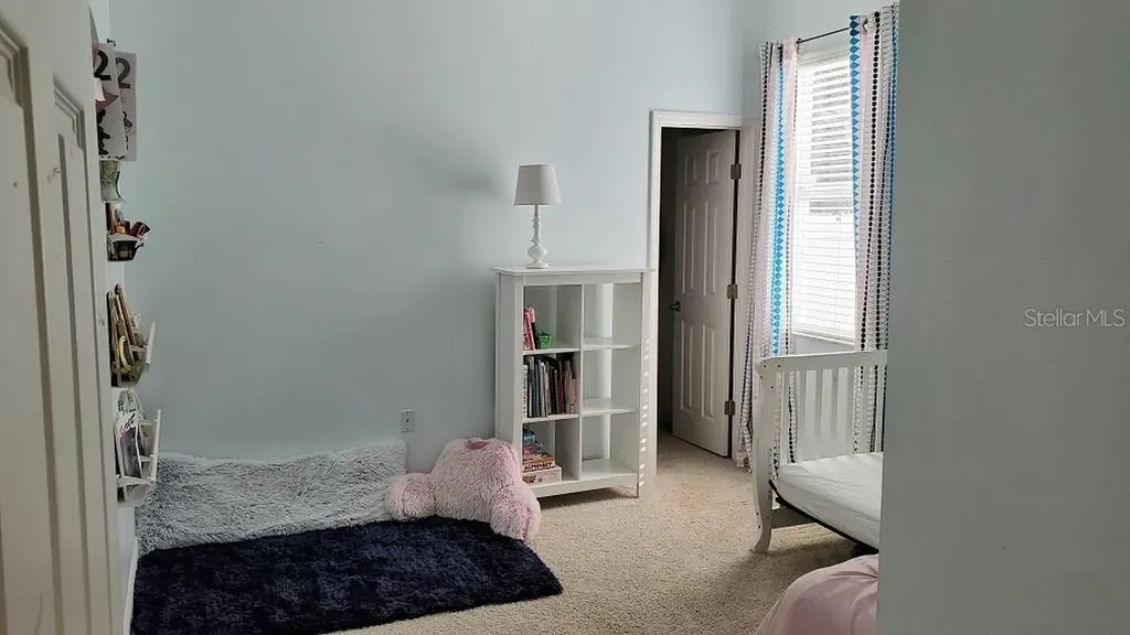 34421 Blue Ash Court Wesley Chapel FL 33545