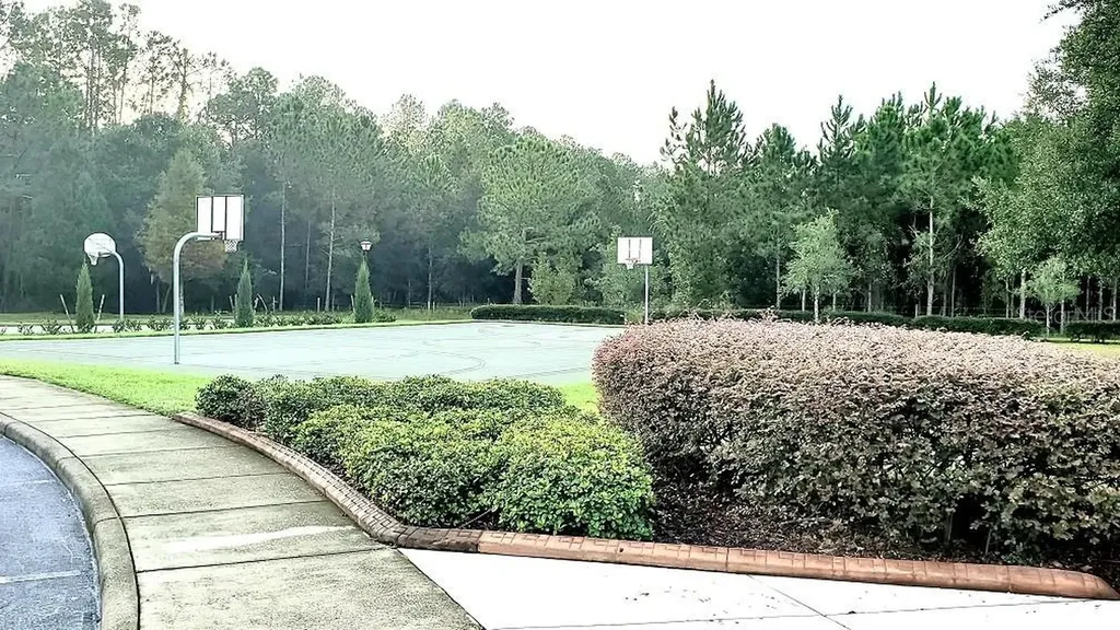 34421 Blue Ash Court Wesley Chapel FL 33545