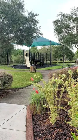 34421 Blue Ash Court Wesley Chapel FL 33545