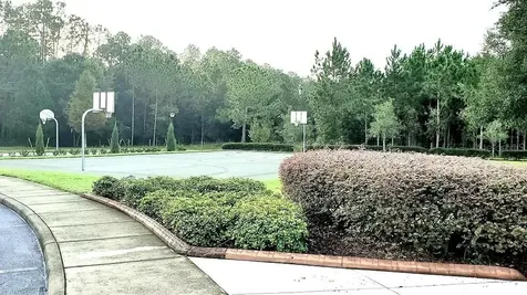 34421 Blue Ash Court Wesley Chapel FL 33545