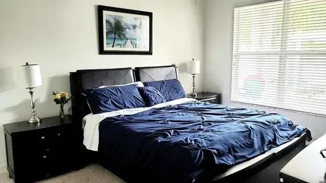34421 Blue Ash Court Wesley Chapel FL 33545