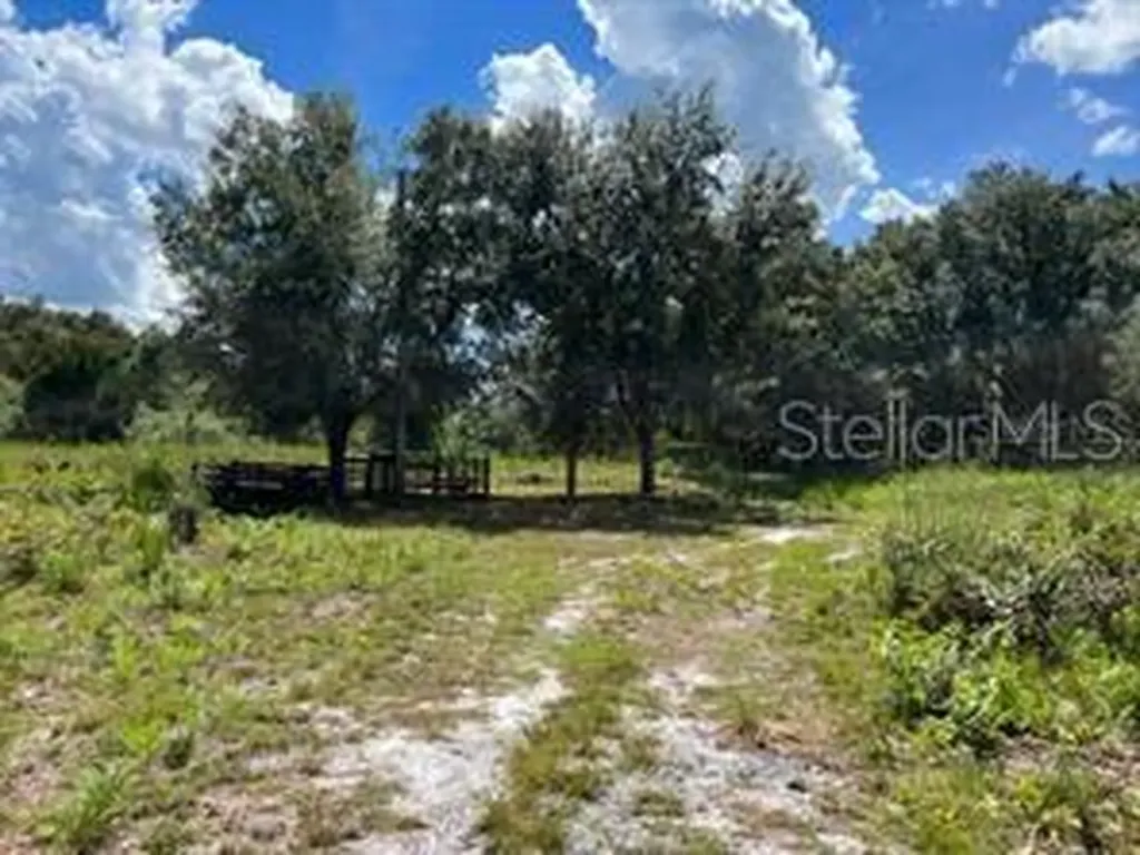 Laurel Oak Avenue Mims FL 32754