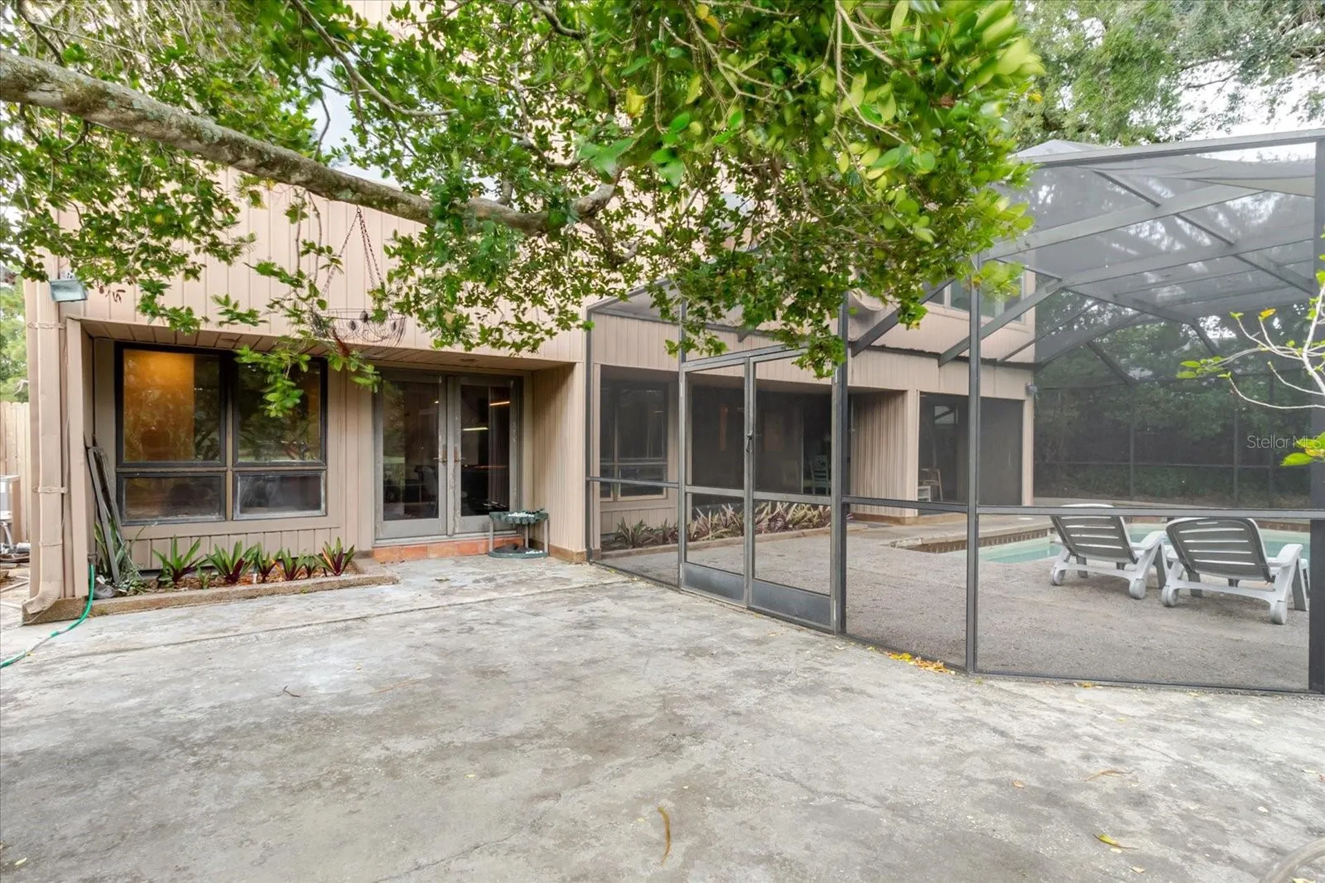 4404 Old Orchard Drive Tampa FL 33618