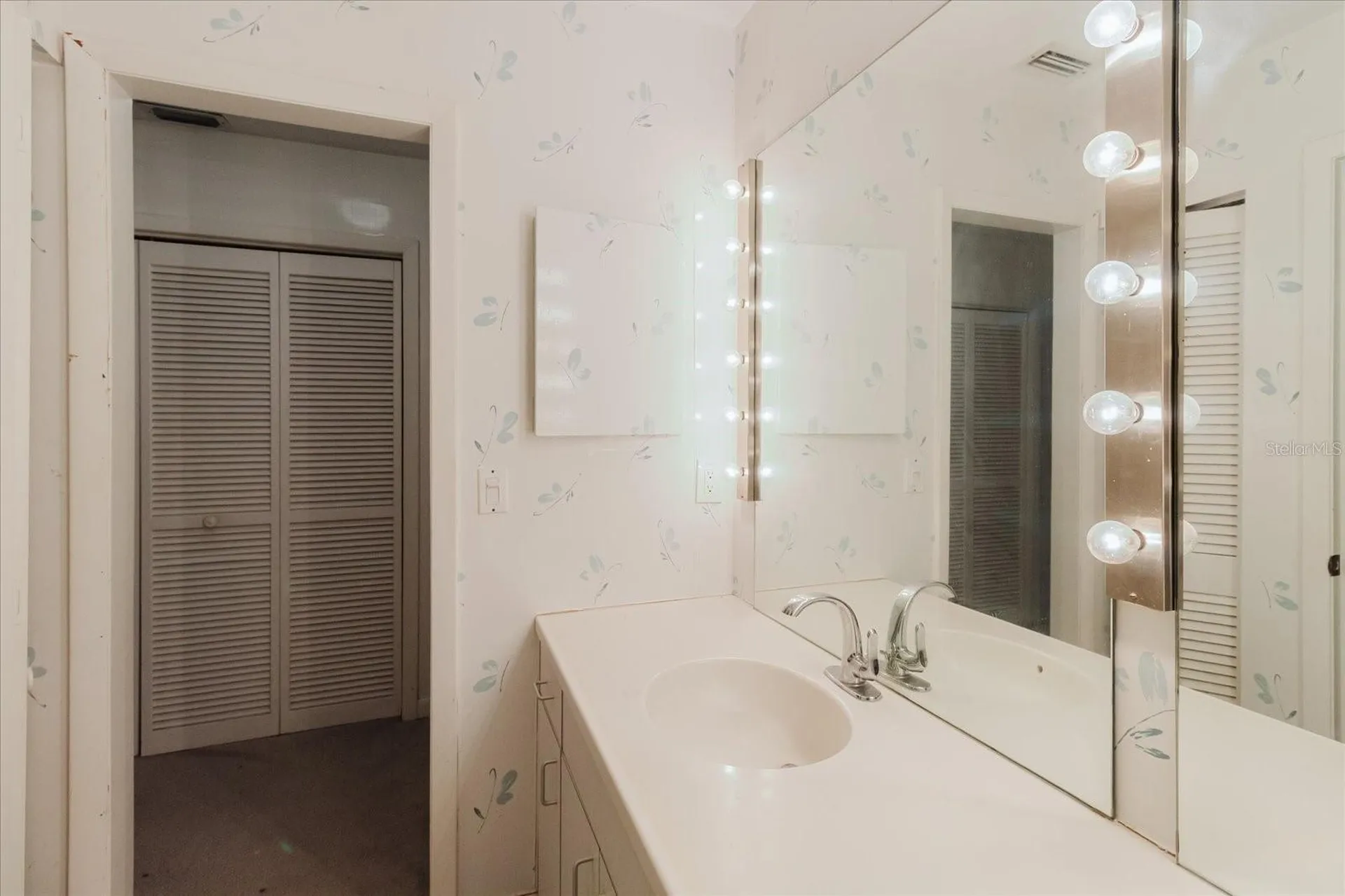 4404 Old Orchard Drive Tampa FL 33618