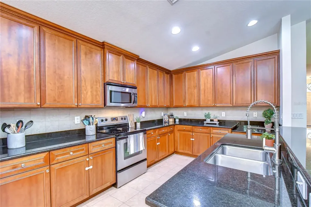 3746 Olde Lanark Drive Land O Lakes FL 34638