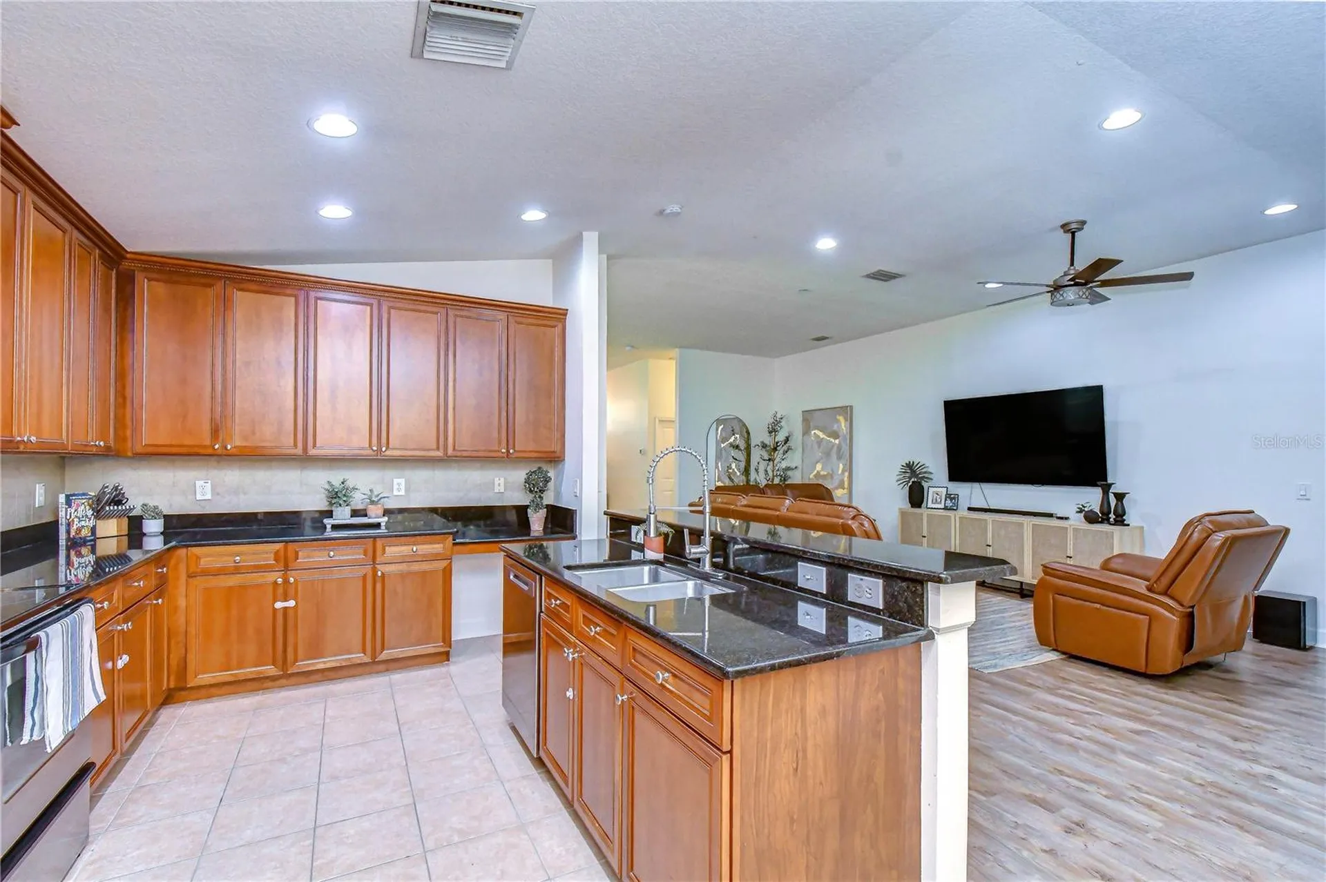 3746 Olde Lanark Drive Land O Lakes FL 34638