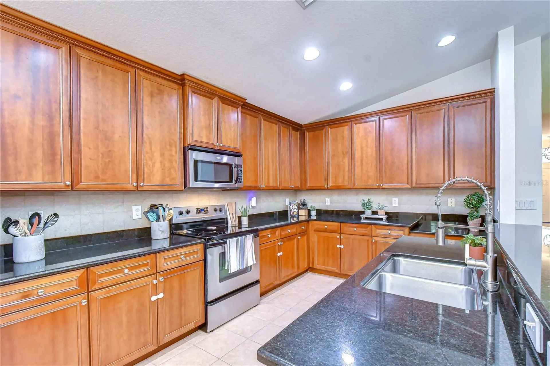 3746 Olde Lanark Drive Land O Lakes FL 34638
