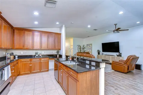 3746 Olde Lanark Drive Land O Lakes FL 34638