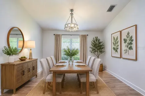 3746 Olde Lanark Drive Land O Lakes FL 34638