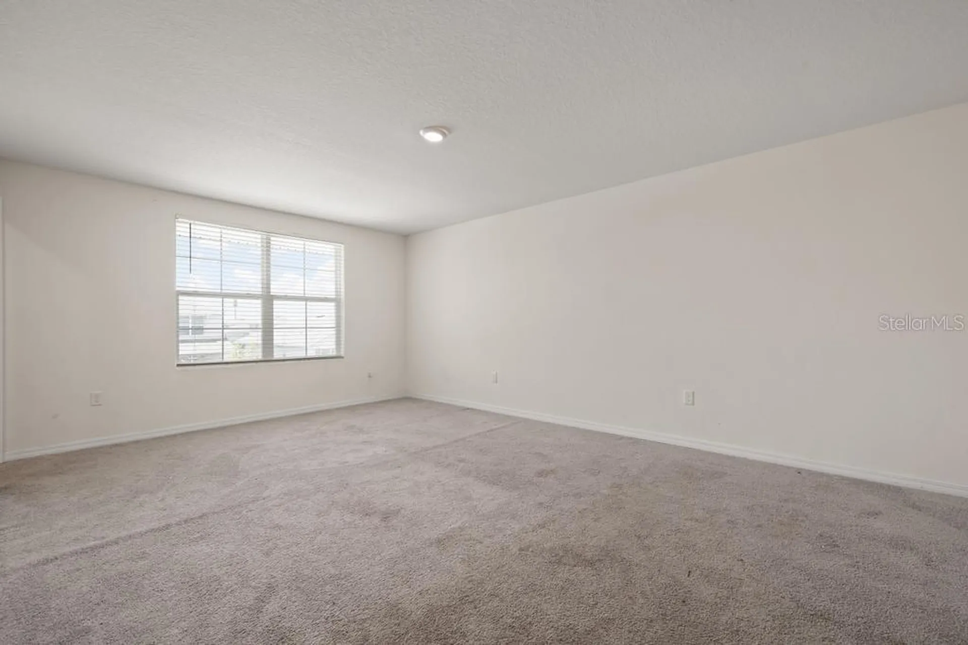 5280 Fiddle Fig Avenue Wimauma FL 33598