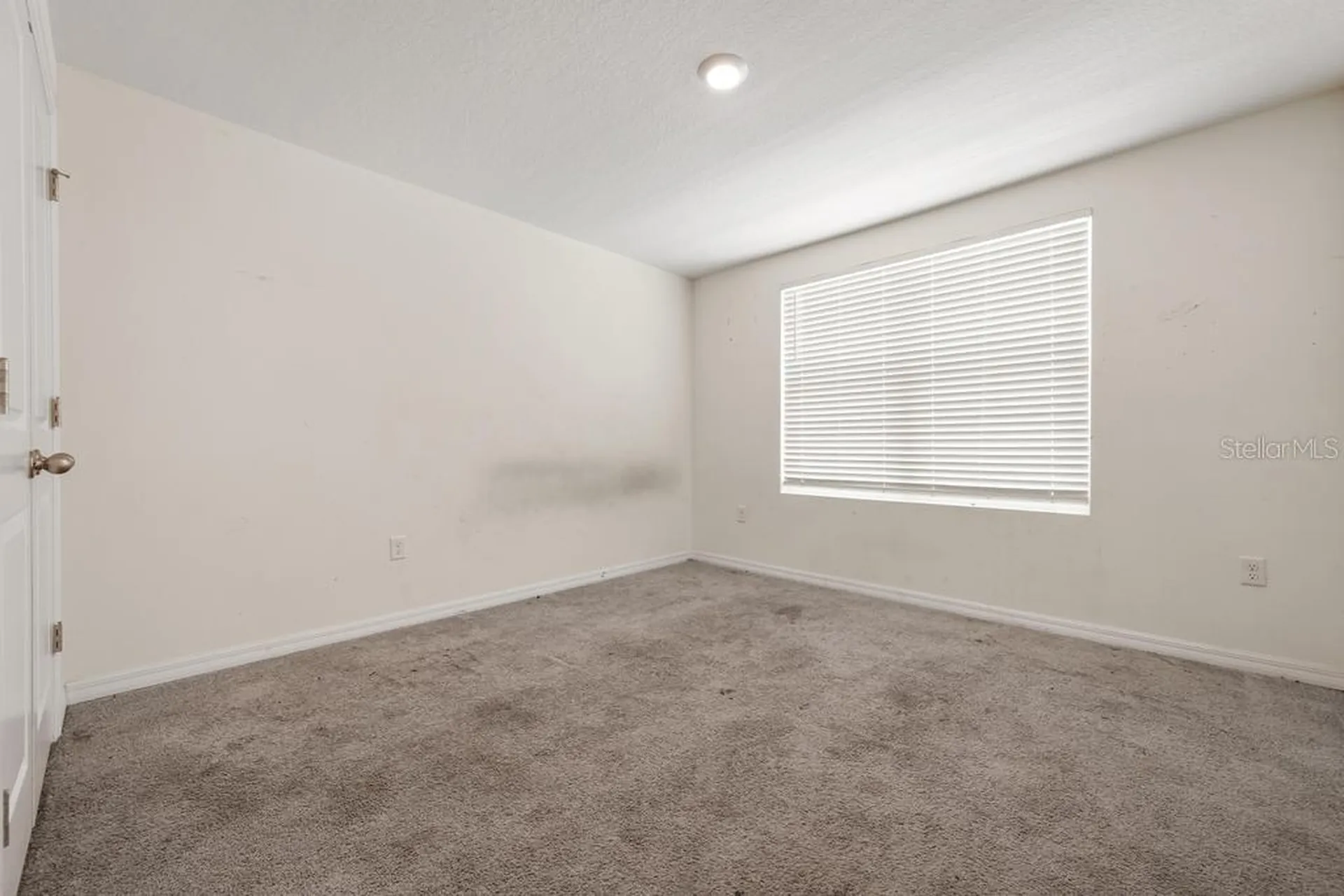 5280 Fiddle Fig Avenue Wimauma FL 33598