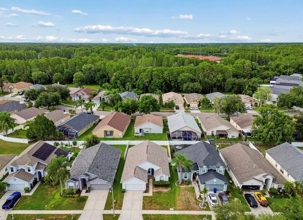3814 Judson Drive Land O Lakes FL 34638
