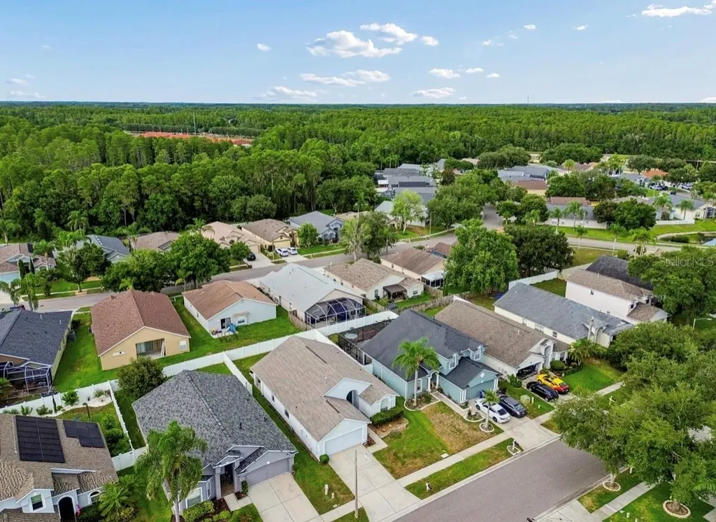 3814 Judson Drive Land O Lakes FL 34638